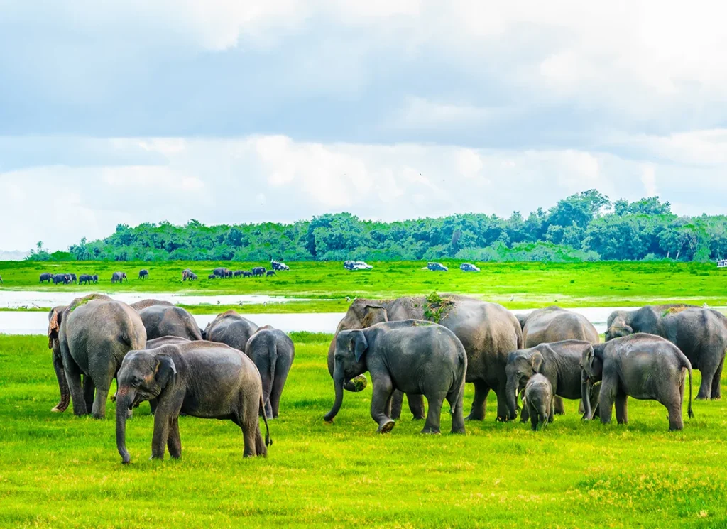 Sri Lanka_2