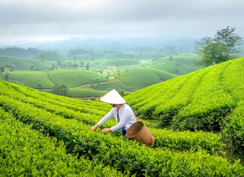 Sri Lanka_3