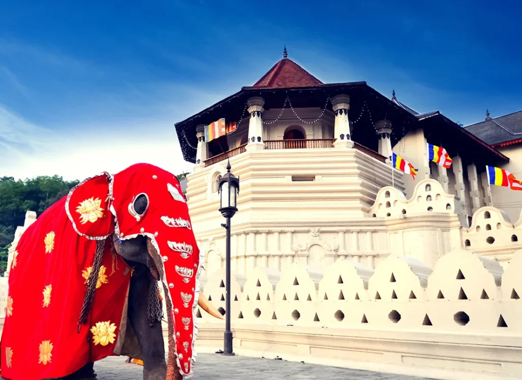 Sri Lanka_8