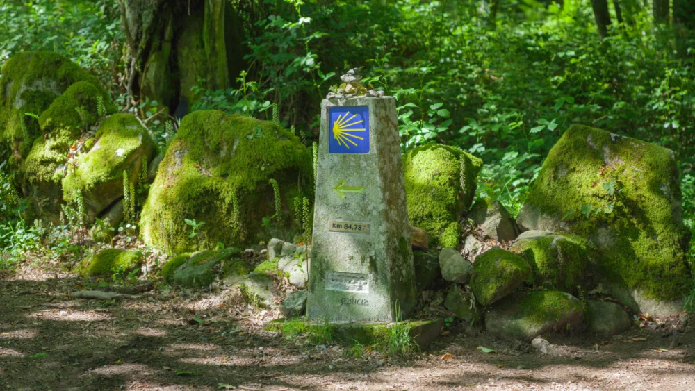 camino_Camino de Santiago 1