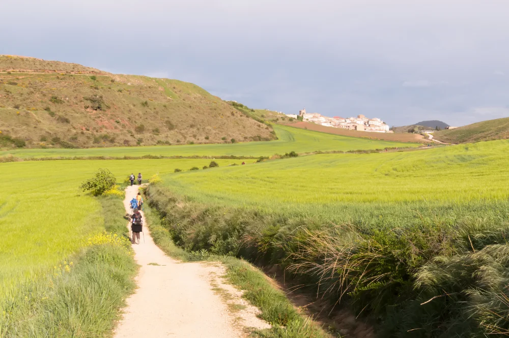 camino_Camino de Santiago 3