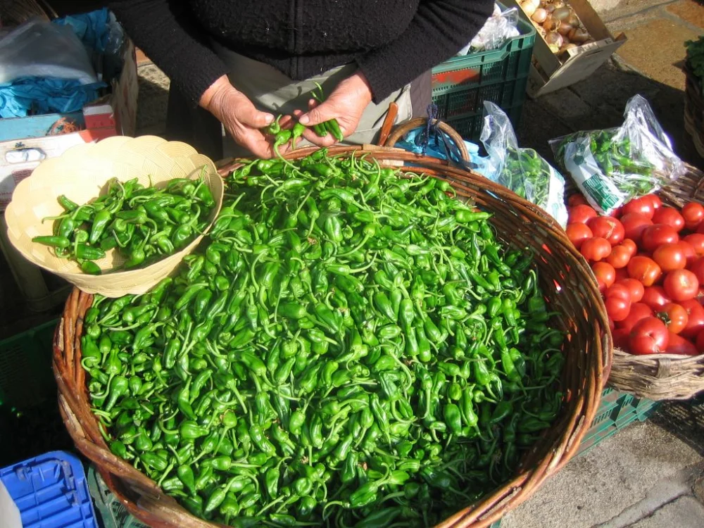 camino_Galician Market